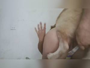 ZooXNX: Girl Fucking Dog - Extreme Porn Videos