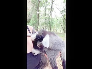 Intimate Encounter with a Goat