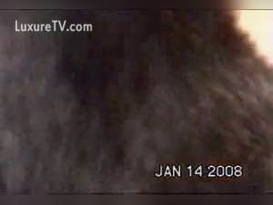 Latina Slams Dog Pt3