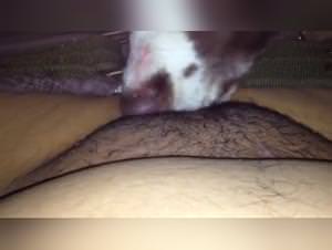 Yuri Big Dog Fuck Japanese - Part 1