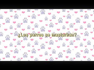 Bestiality Guide 2: The art of intimacy with dogs