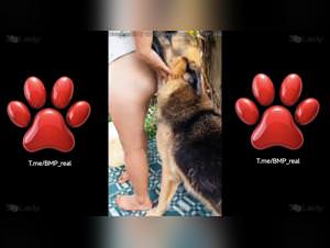 Analina -  Dog Bangs Woman