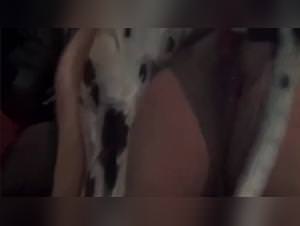 Zoofilia Videos: Dalmatian Beastsex & ArtofZoo