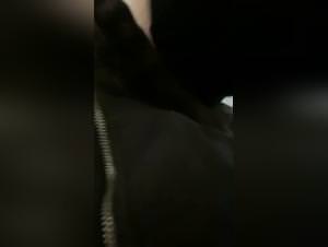 Dog sex frenzy: vocal amateur gives in