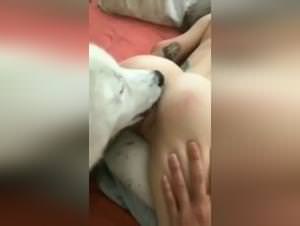 Woman gets doggy fucked hard