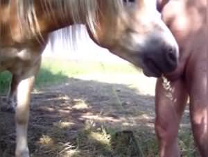 Horse fucks slut 1