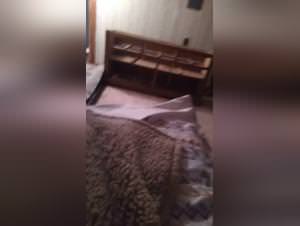 Woman Dog Sex - Extreme Porn