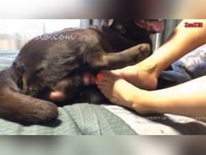 Wild animal lust & shameless pleasure