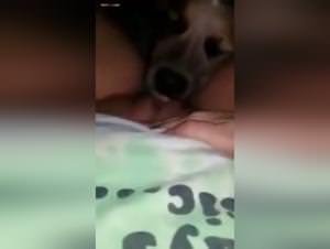 Bitch Licks Pussy Dog Cumshot