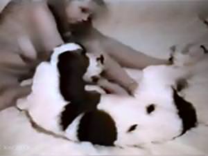 Horse Sex Domination - Hardcore