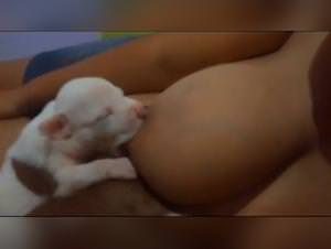 Female dominance, puppy milk, taboo pleasures