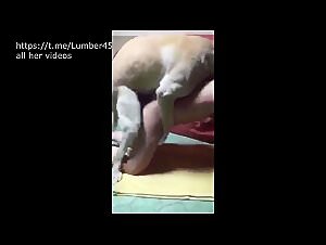 Fucking with a dog slut whore