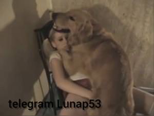 Animal sex australia missionary videos: explicit zoophilia