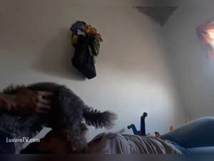 Dog Fucked Hard: Cum Slathered Lust