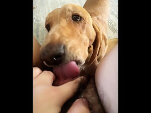 Dog Pornography: Teen Licks Doggy Cunt During Home Alone Video