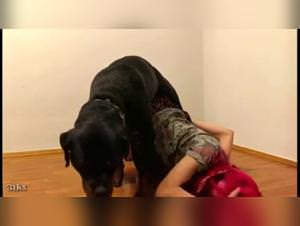 Animal Porn: She Gets Fucked Hard by Her Dog - Extreme Videos