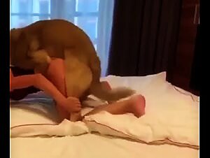 Discover the hottest beastiality vids on Tube org - Fap Vid HD