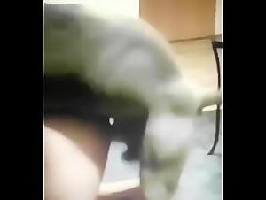 Equine Beastiality: The Story of the Slut Who Fucks With Her Horse