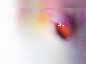 Extreme Doggy Sessions Compilation: Girls Gone Wild with Dogs