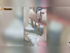 Woman Fucks Dog Happy Dogs Vol.1