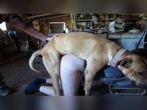 Spanish Girl - Dog Fuck