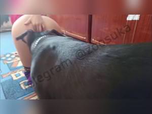 Female Dog Sex: Zoophilia HD Videos