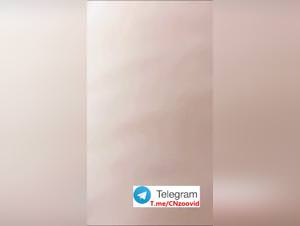 Asian Girl Dog Sex Hardcore XXX Videos