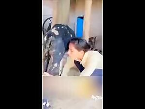 The woman who can't escape the canine knot: an animal pleasure