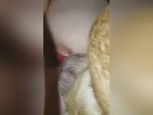 Wild dog sex threesome action