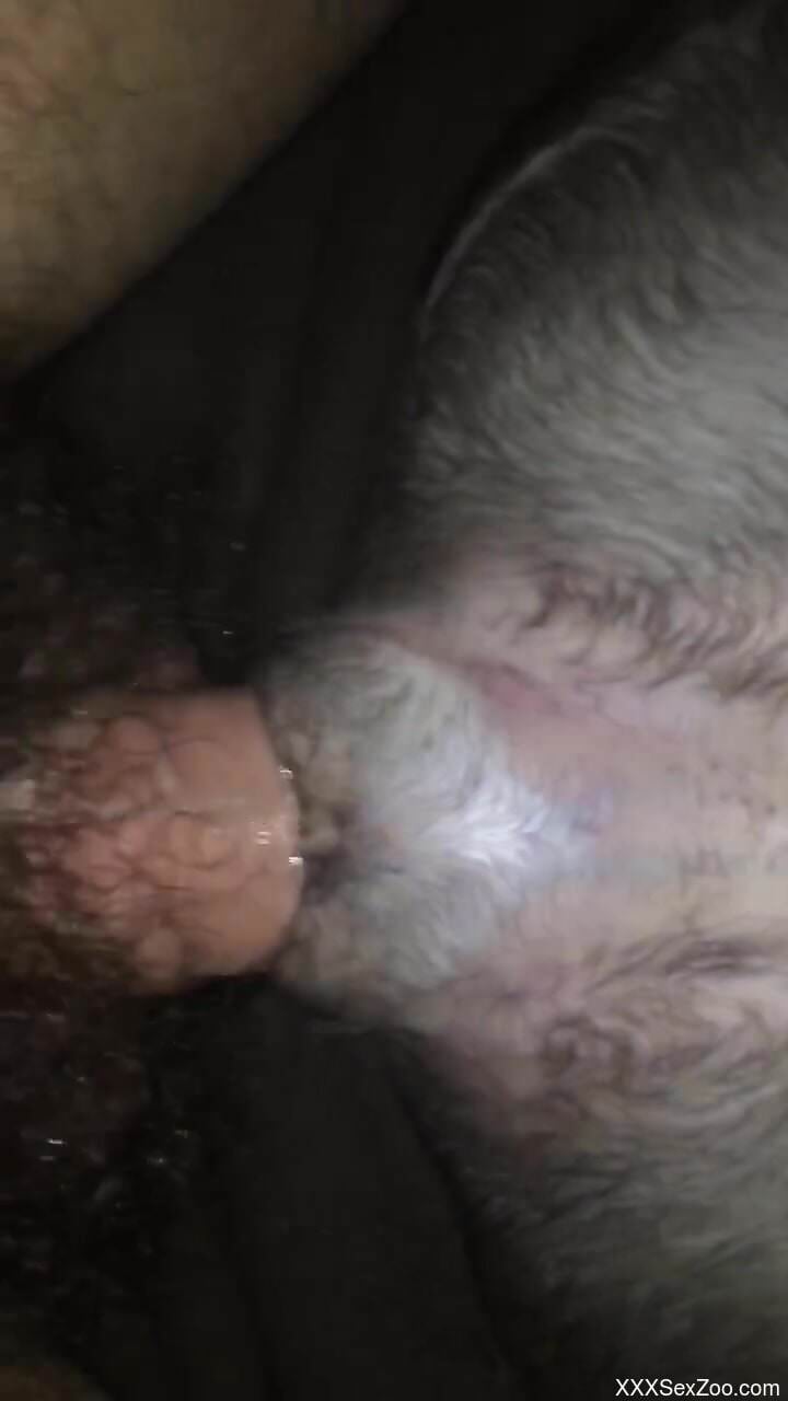 Fat dude is going to fuck a horny animal up close