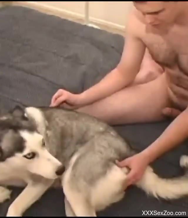 Sexy dog getting fucked brutally by a zoophile
