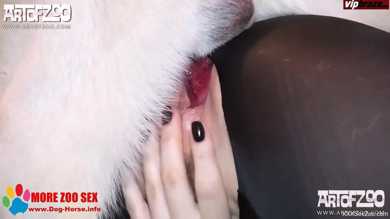 Masked blonde in pantyhose getting drilled by a dog