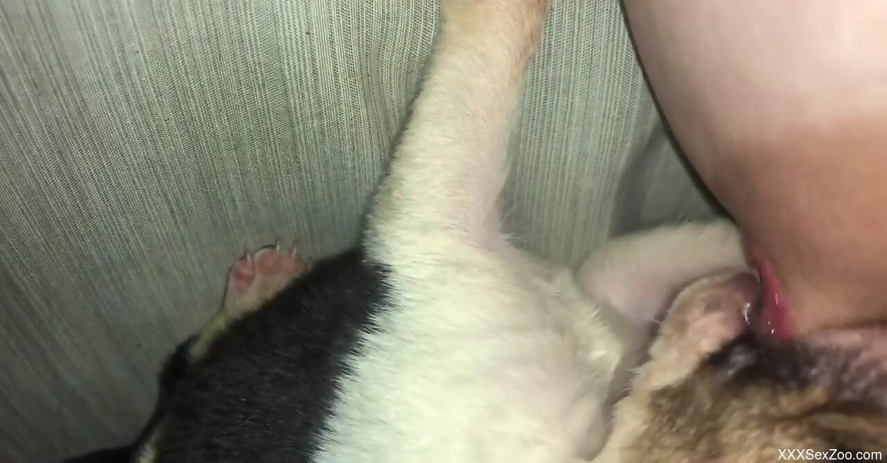 Dog makes woman moan by licking her hard nipples in a sloppy manner