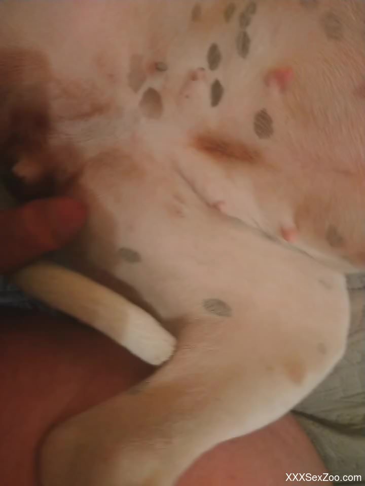 Aroused man wants to fuck his dog and come inside its vagina