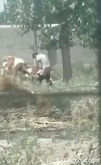 Spycam footage showing a dominant animal fucker