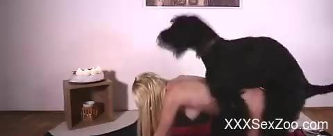 Blond-haired babe in red stockings fucks a mutt