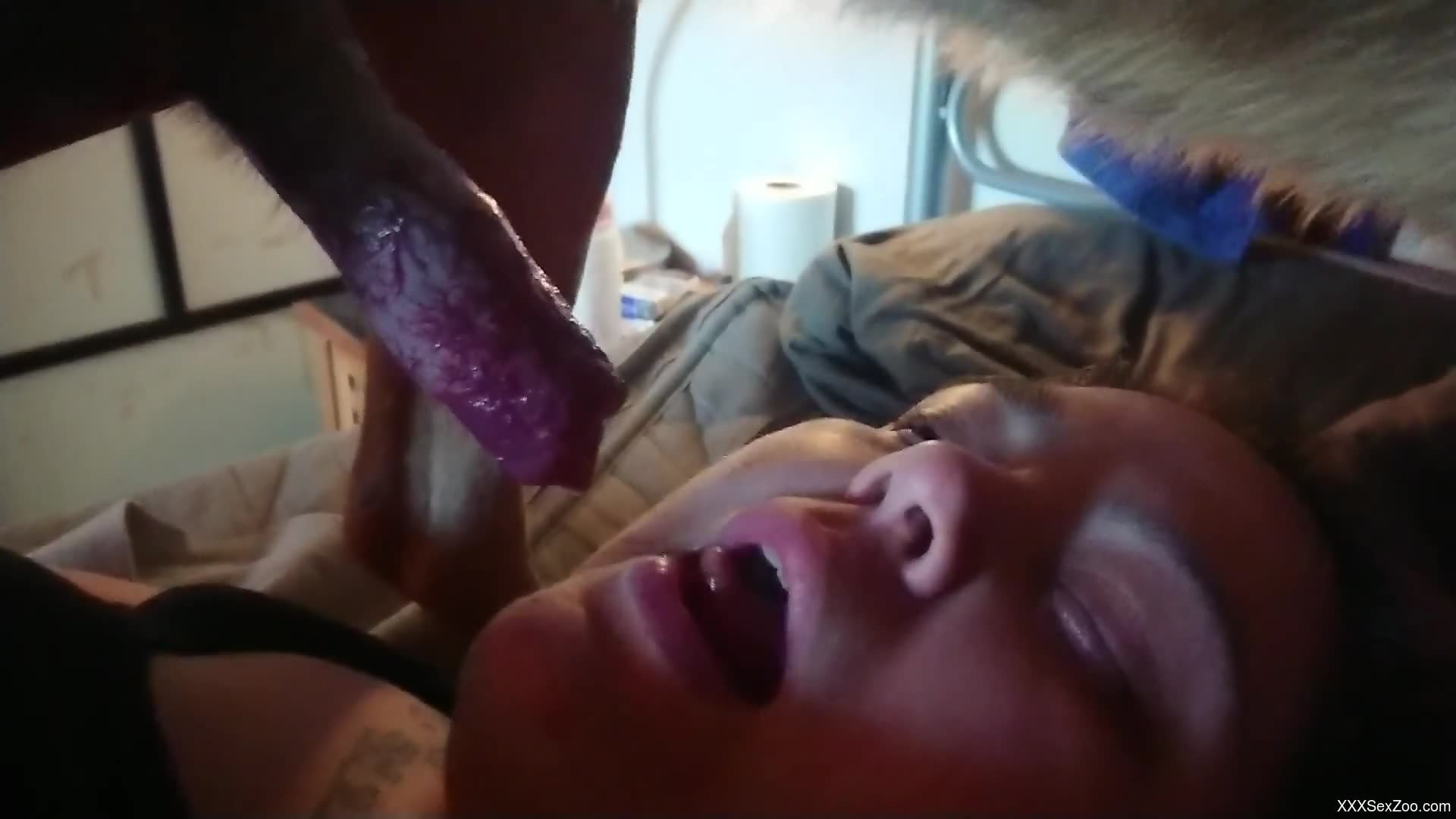 Attractive zoophile deepthroating a dog's dick