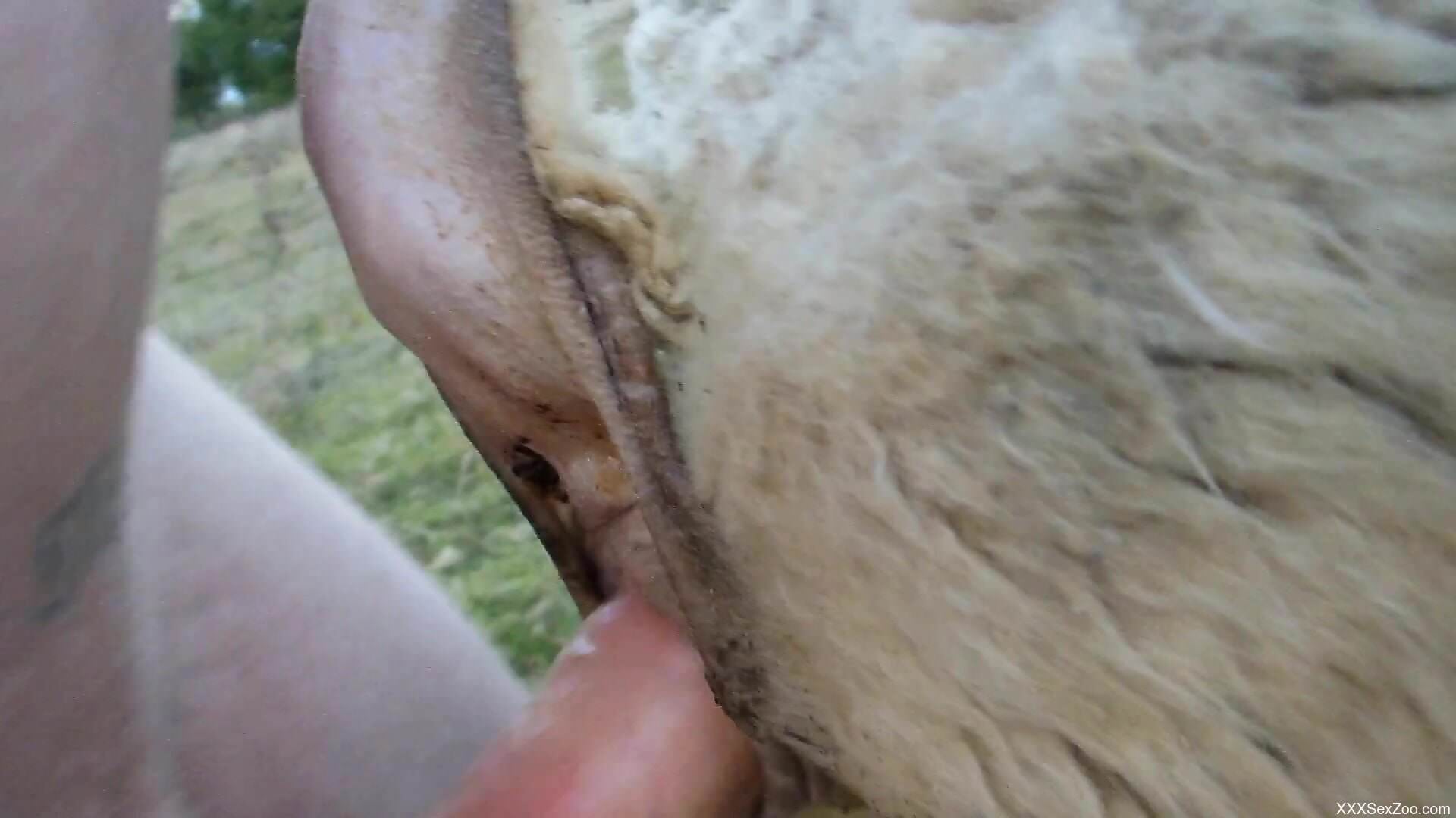 Aroused man deep pumps cow's wet pussy in dirty outdoor sex