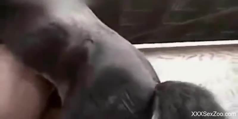 Hard zoophilia sex for a naked man being fucked hard