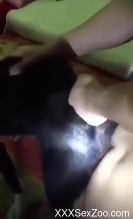 Home alone man films himself dep fucking the dog's ass