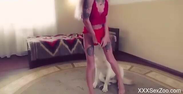 Dog humps naked woman in homemade cam zoophilia