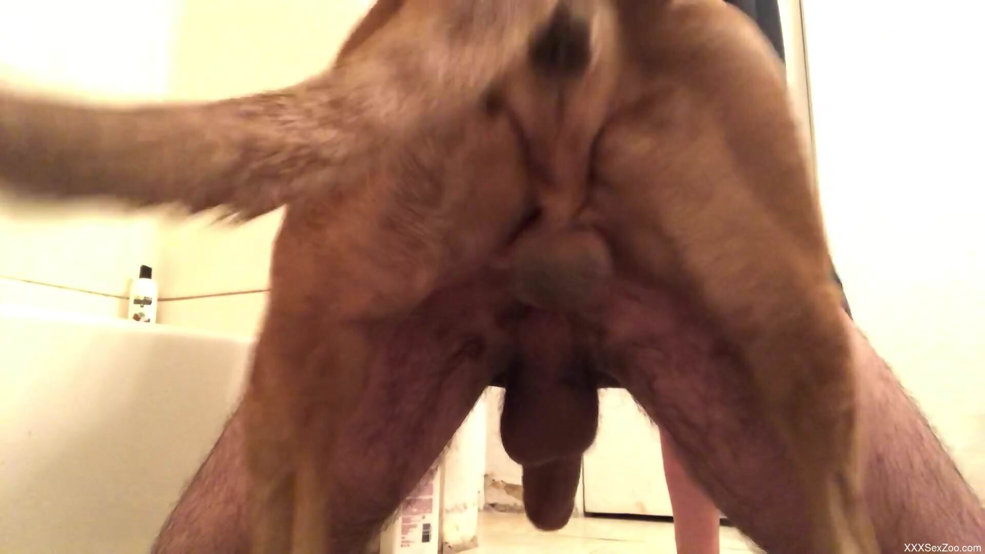 Dog makes naked man scream by how good the dick feels in his ass