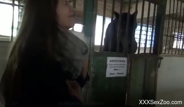 Blonde bends over to happily take a horse's hard cock