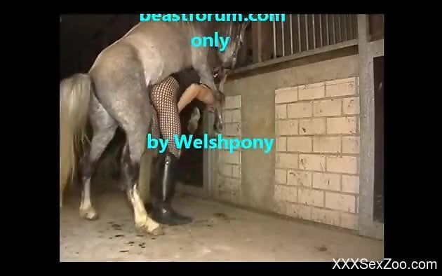Crossdressing Welsh dude fucked by a hung horse