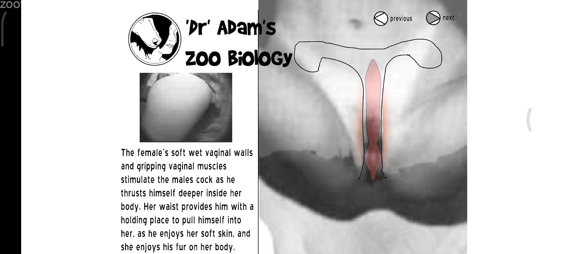Animal sex with human anatomy  in a dirty zoo cam play