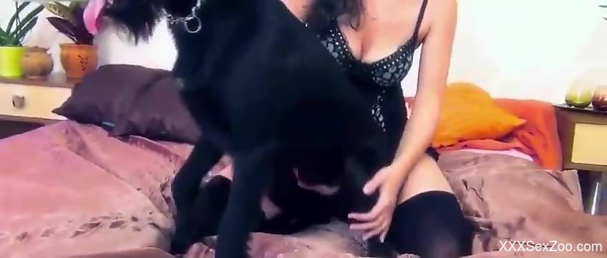 Dazzling babe fitted with cock in her tiny pussy