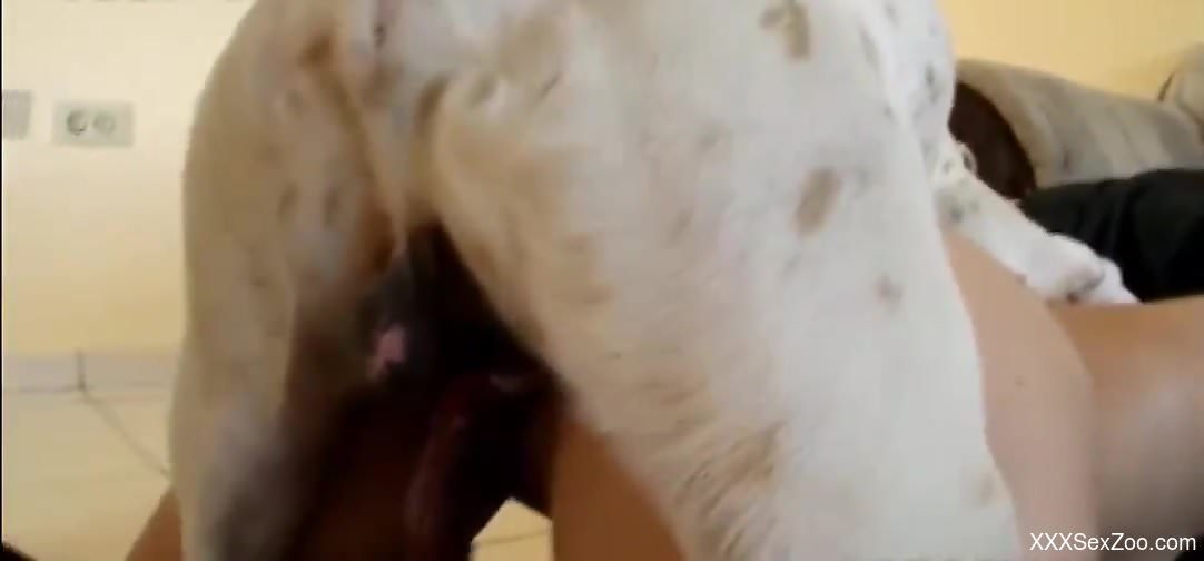 Hot compilation of animal sex scenes with nasty women