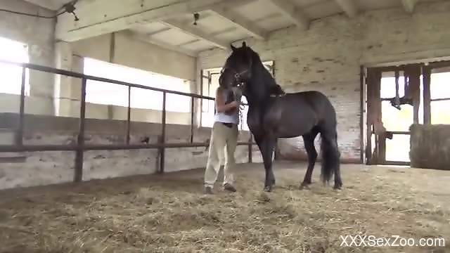 Brunette with a tight pussy fucked by a dirty animal