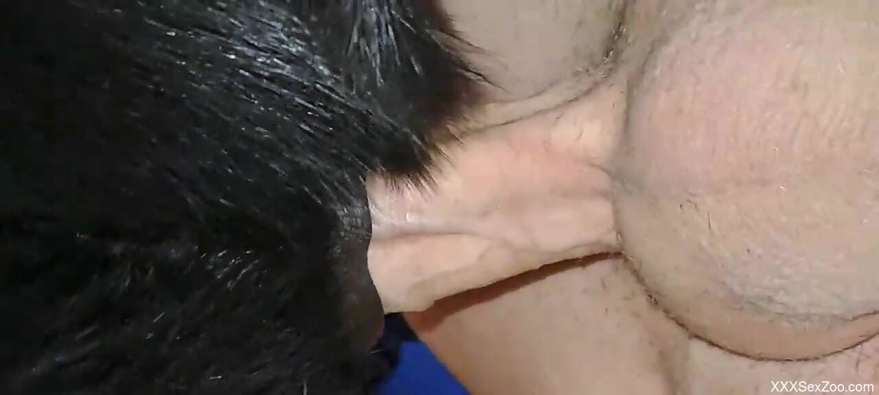 Guy using his dong to drill the dog's tight hole