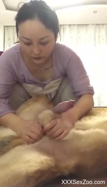 Loud Asian wife plays with the dog's cock in slutty POV